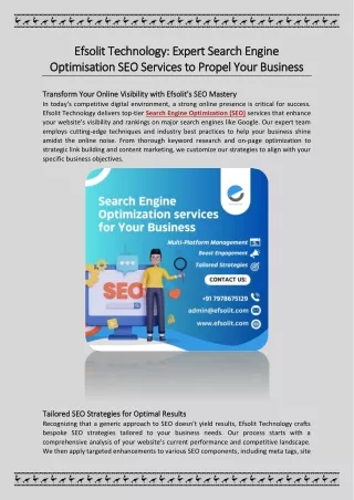 Efsolit Technology: Search Engine Optimisation SEO Services to Propel Business