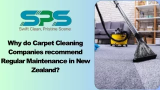 Why do Carpet Cleaning Companies recommend Regular Maintenance in New Zealand?