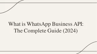 What is WhatsApp Business API The Complete Guide (2024)