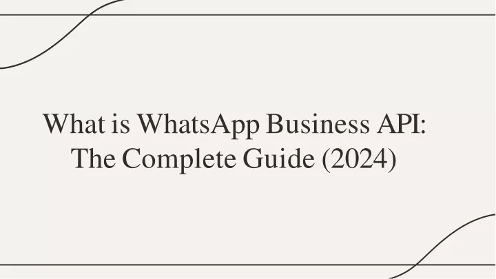 wha t i s whatsap p busines s api the complete guide 2024