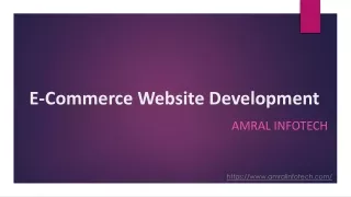 Leading E-commerce Website Development in Pune |Amral Infotech