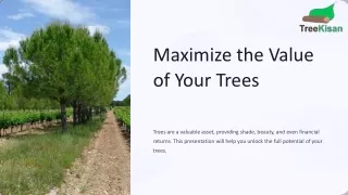 Maximize-the-Value-of-Your-Trees