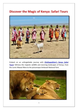 Discover the Magic of Kenya: Safari Tours