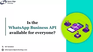 WhatsApp Business API: Who Can Use It?