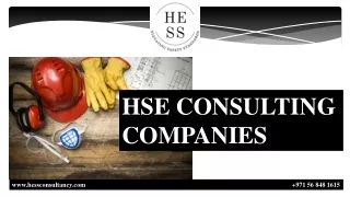 HSE CONSULTING COMPANIES