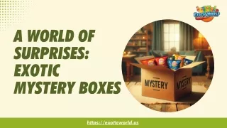 A World of Surprises: Exotic Mystery Boxes - Exotic World Snacks