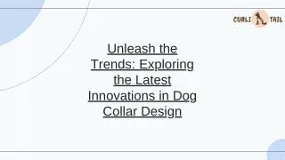 Stylish Dog Collar Trends You’ll Love | CurliTail