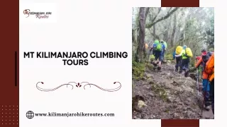 MT Kilimanjaro Climbing Tours