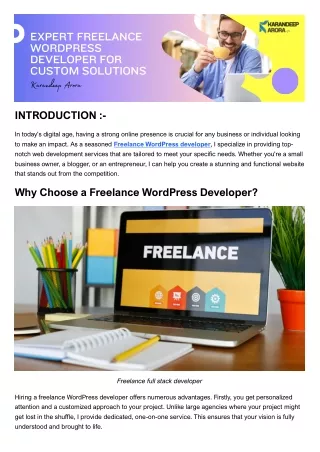 Expert Freelance WordPress Developer for Custom Solutions