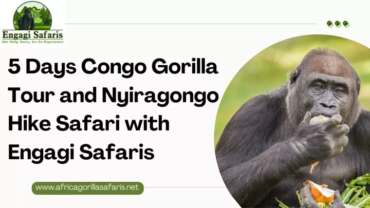 5 days congo gorilla tour and nyiragongo hike