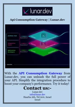 Api Consumption Gateway  Lunar.dev