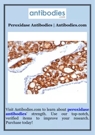 Peroxidase Antibodies  Antibodies.com