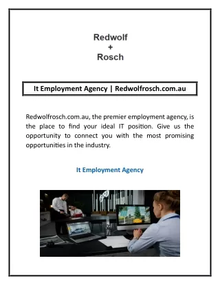 it employment agency redwolfrosch com au