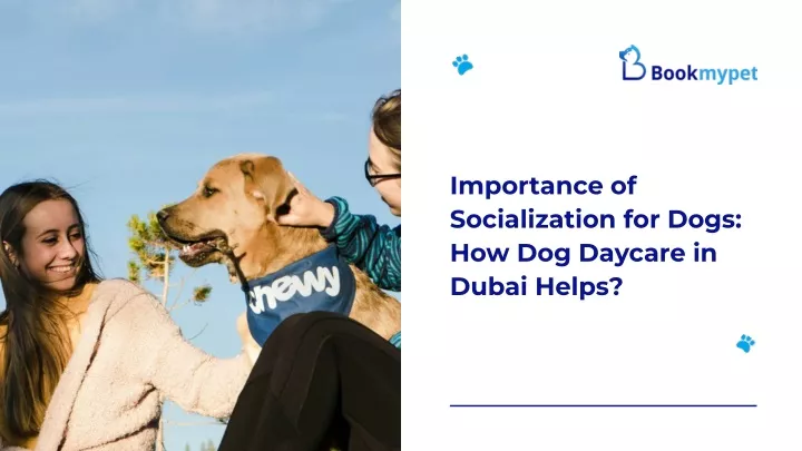 importance of socialization for dogs