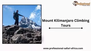 Mount Kilimanjaro Climbing Tours