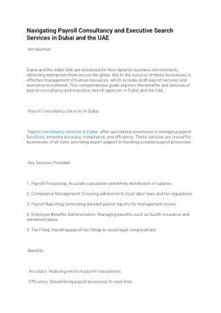 navigating payroll consultancy and executive