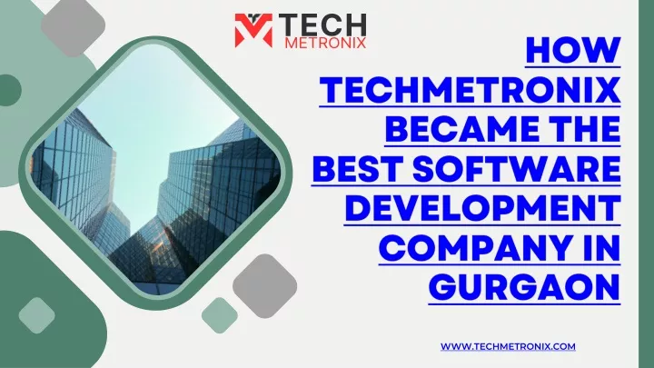 how techmetronix became the best software