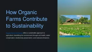 How Organic Farms Contribute to Environmental Sustainability