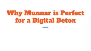 why munnar is perfect for a digital detox