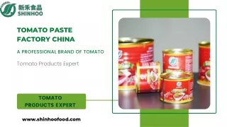 Tomato Paste Factory China