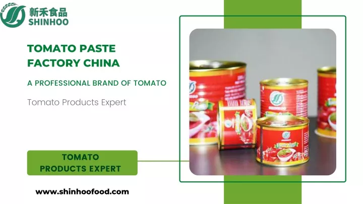 tomato paste factory china