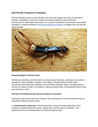 Anti-Termite Treatment in Kashipur