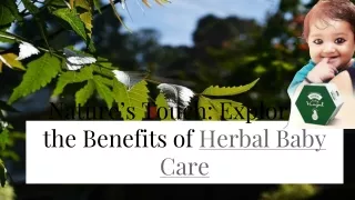 Nature’s Touch_ Exploring the Benefits of Herbal Baby Care (3)