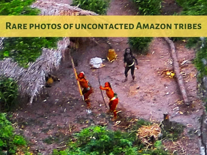 rare photos of uncontacted amazon tribes