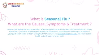 What is Seasonal Flu