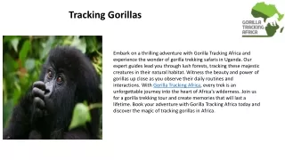 Tracking Gorillas