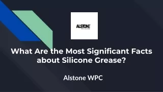 What Are the Most Significant Facts about Silicone Grease