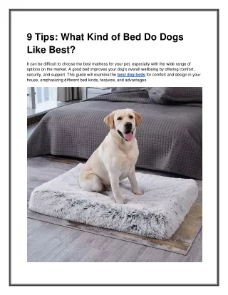 9 Tips: What Kind of Bed Do Dogs Like Best?