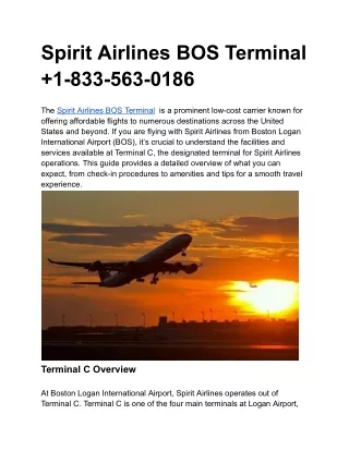 Spirit Airlines BOS Terminal