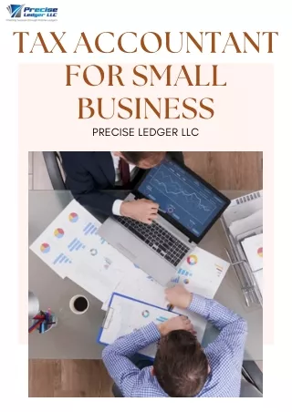 Expert Tax Accountant for Small Business | Precise Ledger LLC