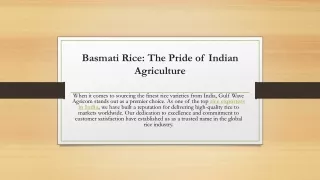 Basmati Rice: The Pride of Indian Agriculture