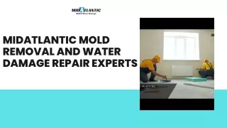 Expert Water Damage Restoration: Fast and Efficient