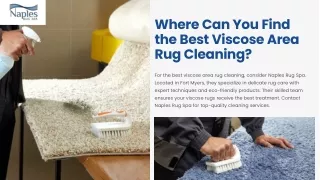 Where Can You Find the Best Viscose Area Rug Cleaning