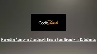 Marketing Agency in Chandigarh