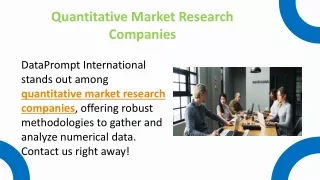 Quantitative Market Research Companies