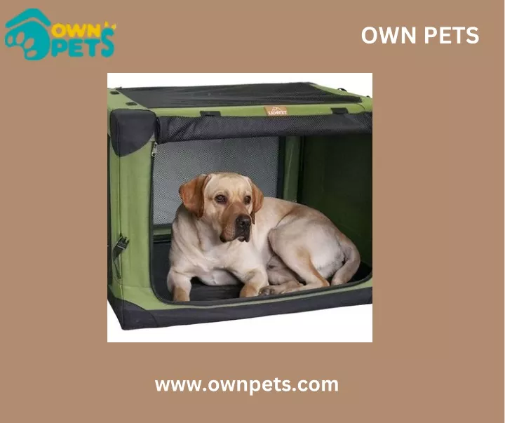 own pets