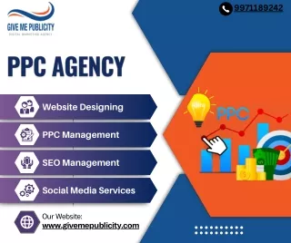 PPC Agency Laxmi Nagar