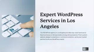 Expert WordPress Services in Los Angeles