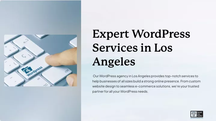 expert wordpress services in los angeles