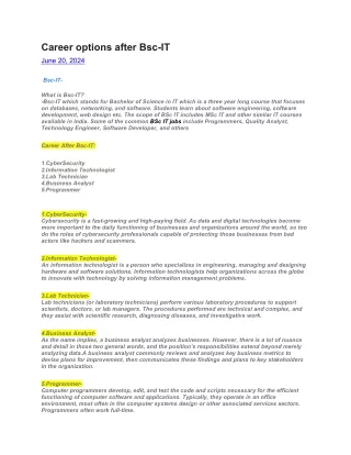 Career options after Bsc-IT