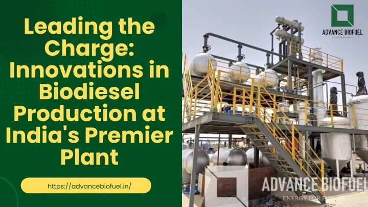 leading the charge innovations in biodiesel