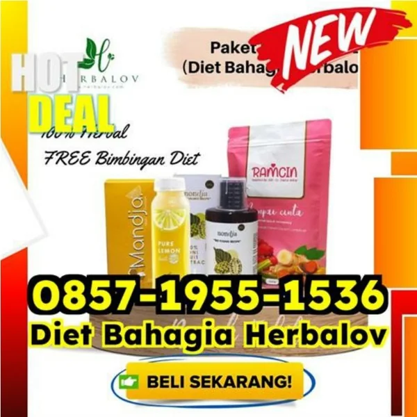 WA 0857-1955-1536 Herbal Obat Diet Paling Cepat Menurunkan Berat Badan Kepulauan