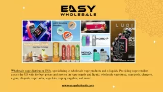 EAVINWHIP Cream Charger_Easy Wholesale