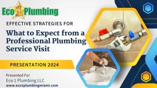 What to Expect from a Professional Plumbing Service Visit