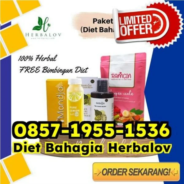WA 0857-1955-1536 Metode Merk Obat Pelangsing Paling Ampuh Cilandak Labuhanbatu