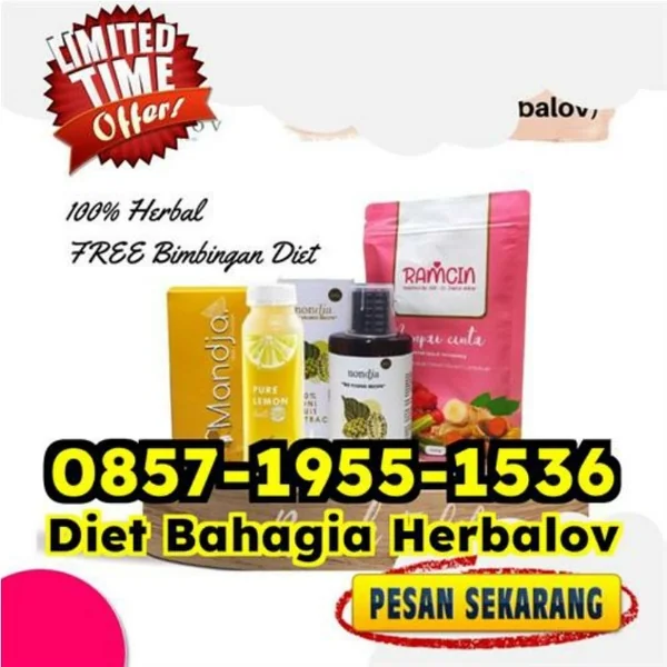 WA 0857-1955-1536 Paket Obat Diet Langsing Alami Kalideres Simalungun